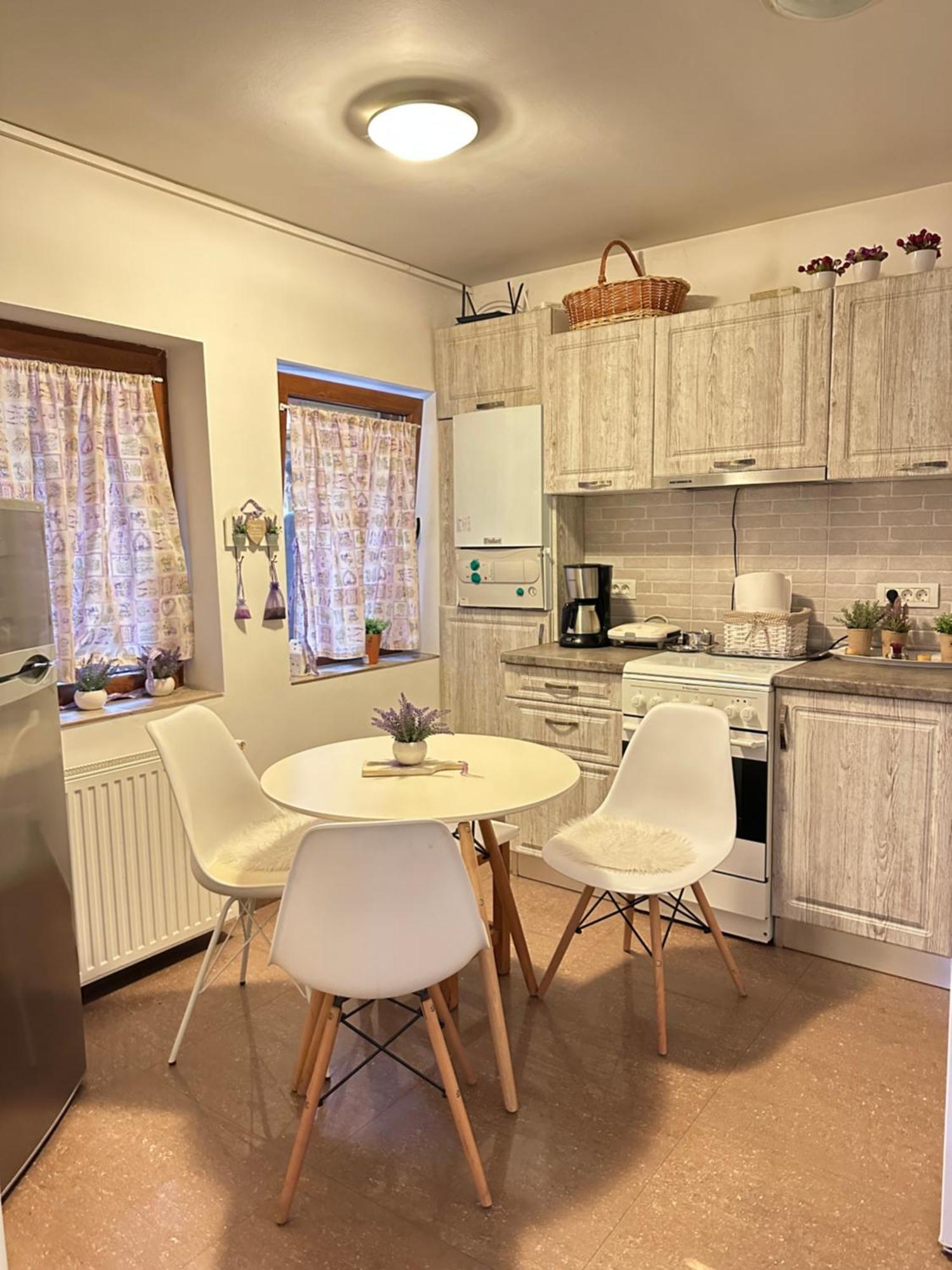 Grazia Apartment Timişoara Eksteriør bilde